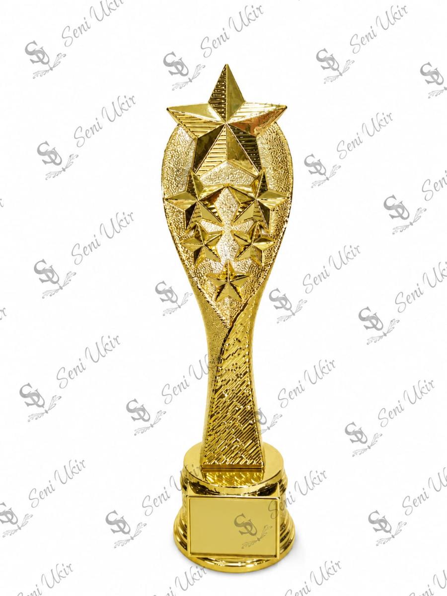 The Ultimate Shining Star Excellence Award